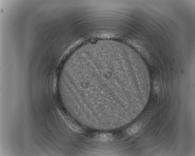 X0000085250304200703231656