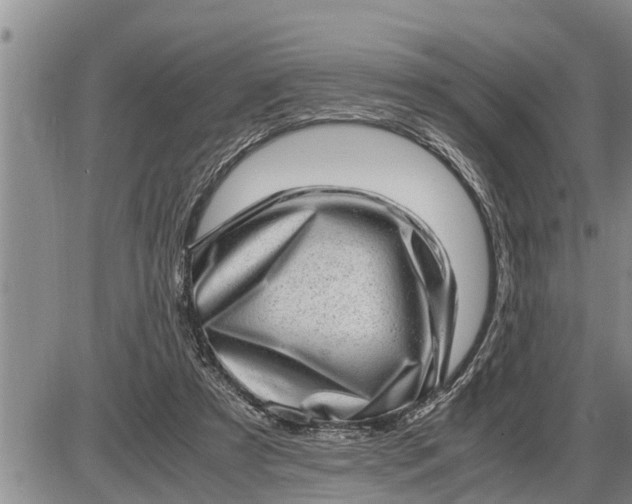 X0000085250305200703231656