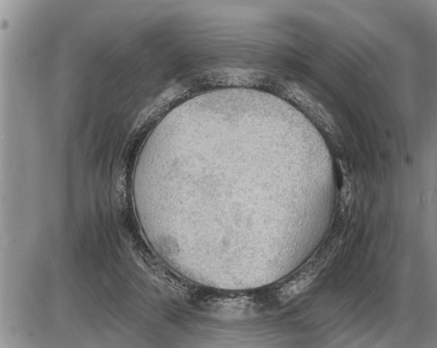 X0000085250306200703231656