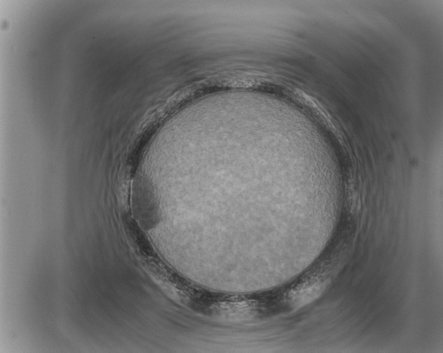 X0000085250307200703231656