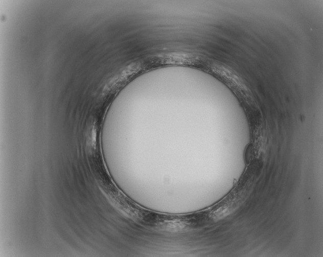 X0000085250310200703231656