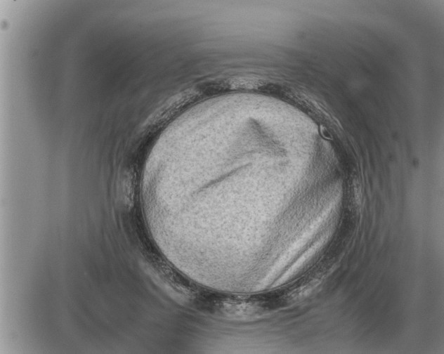 X0000085250311200703231656