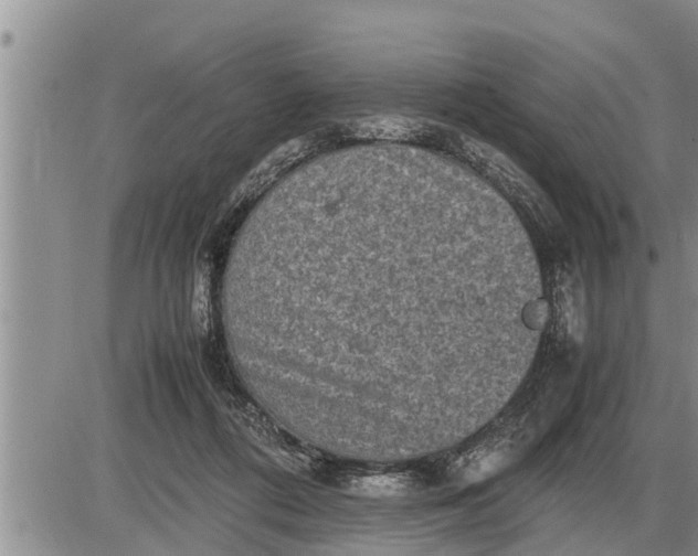 X0000085250312200703231656