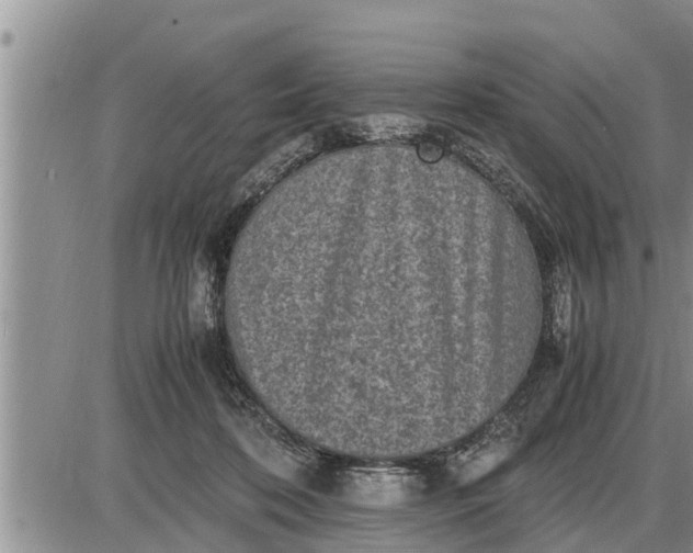 X0000085250316200703231656