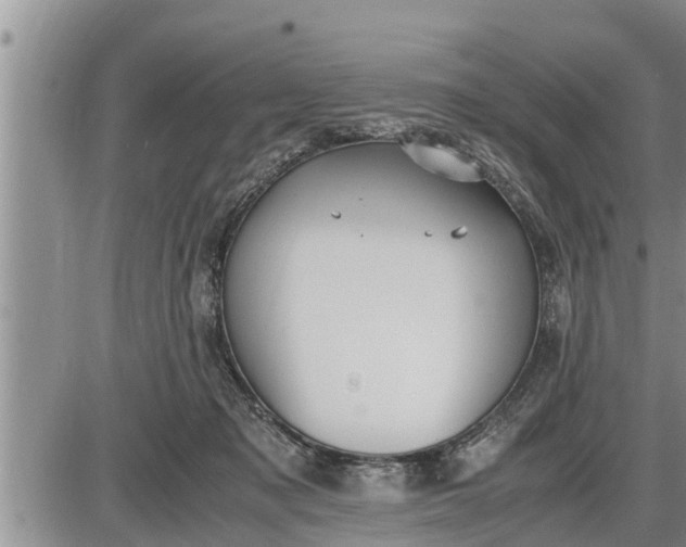 X0000085250317200703231656