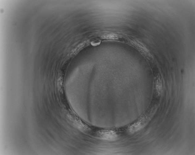 X0000085250322200703231656