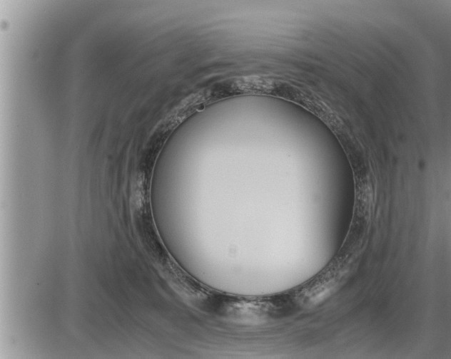 X0000085250323200703231656