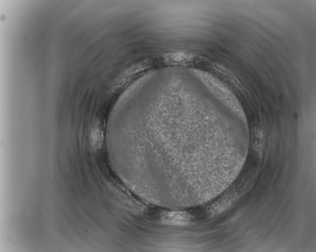 X0000085250324200703231656