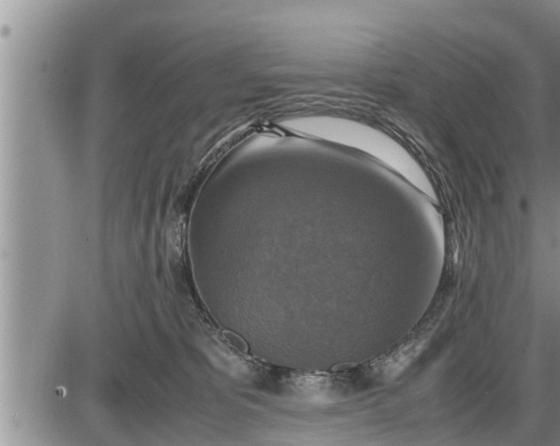 X0000085250325200703231656