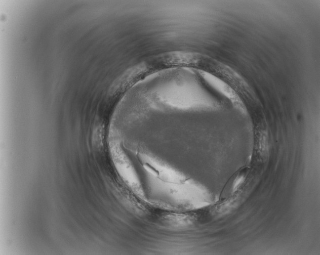 X0000085250326200703231656