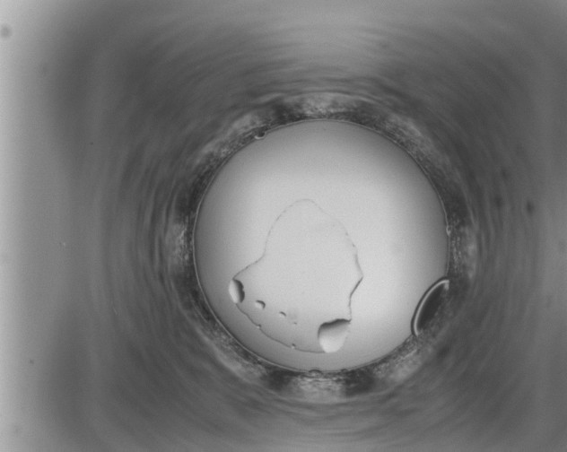 X0000085250327200703231656