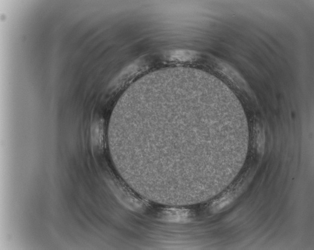 X0000085250328200703231656