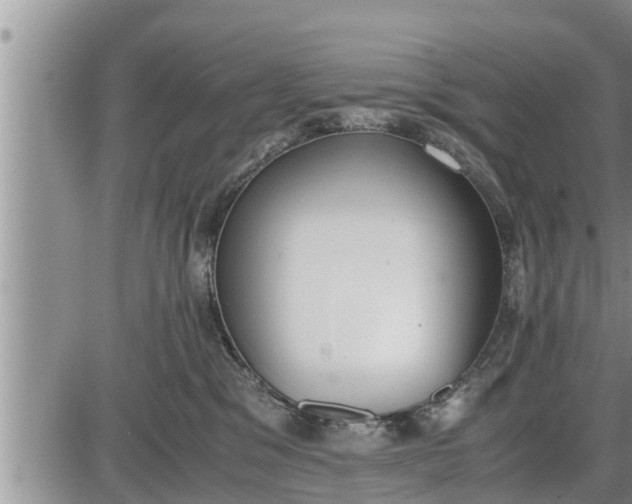 X0000085250329200703231656