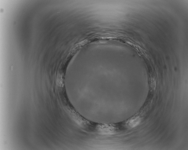 X0000085250331200703231656