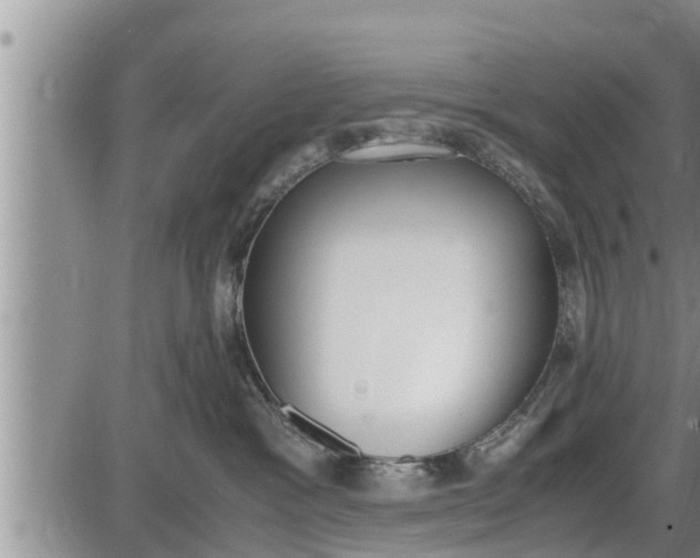 X0000085250333200703231656