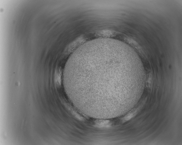 X0000085250334200703231656