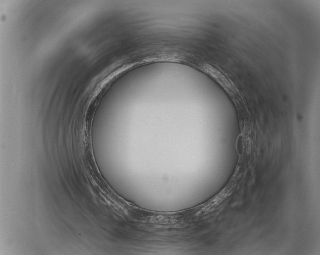 X0000085250338200703231655