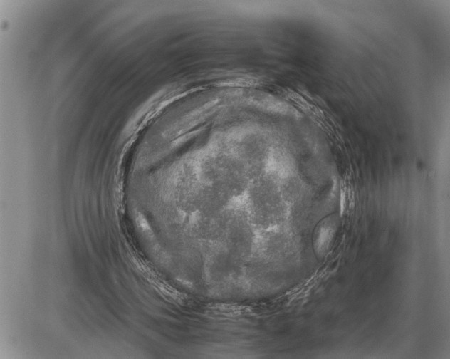 X0000085250339200703231655