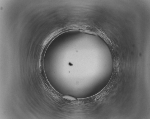 X0000085250340200703231655