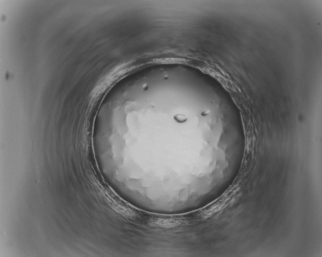 X0000085250341200703231655