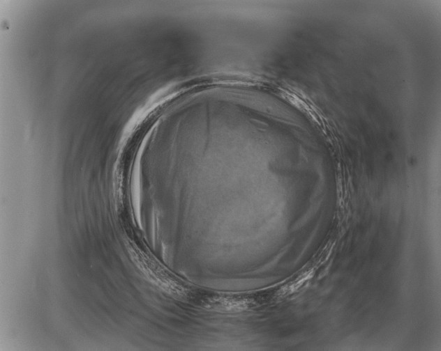 X0000085250343200703231655