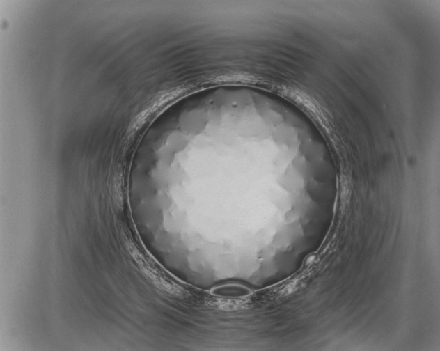 X0000085250345200703231655