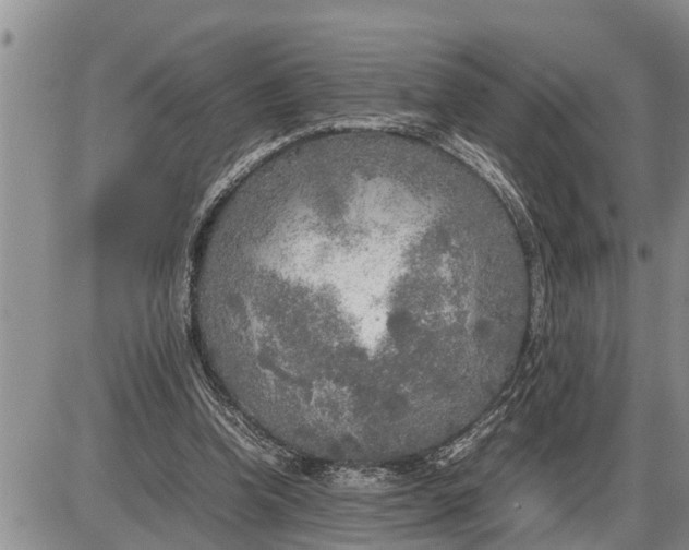 X0000085250346200703231655