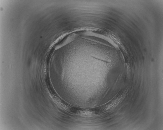 X0000085250348200703231655