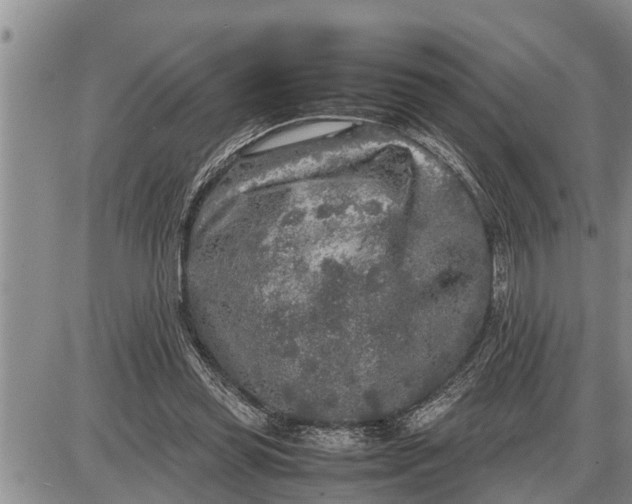 X0000085250349200703231655