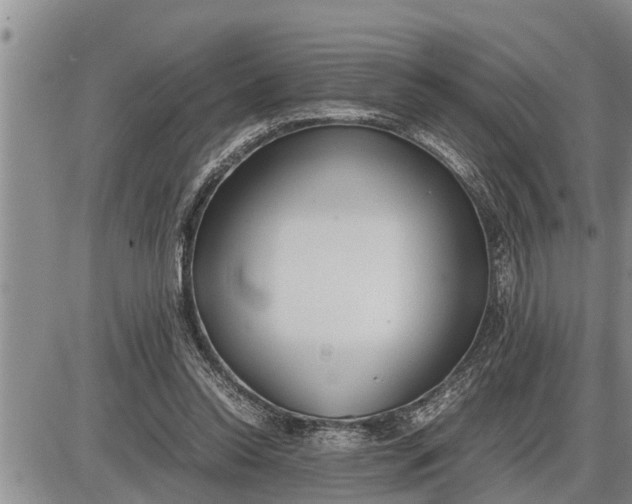 X0000085250350200703231655