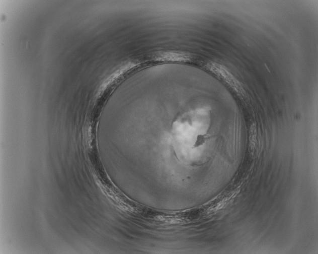 X0000085250351200703231655