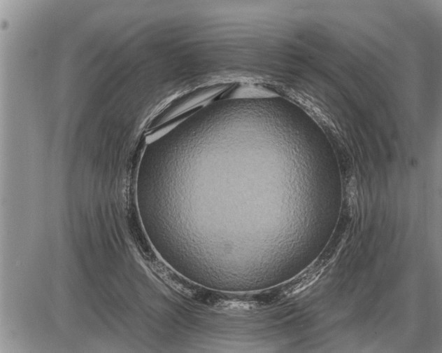 X0000085250352200703231655