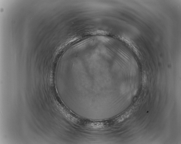 X0000085250353200703231655