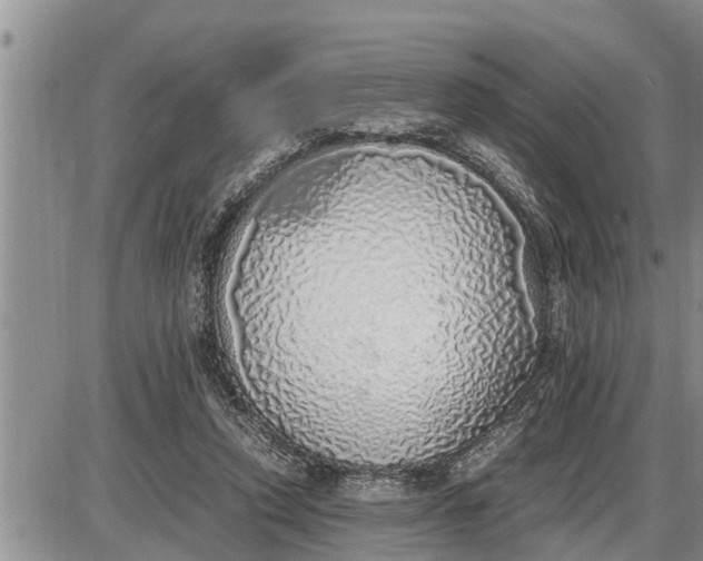 X0000085250354200703231655