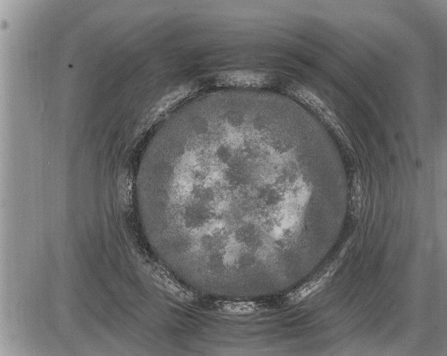 X0000085250355200703231655