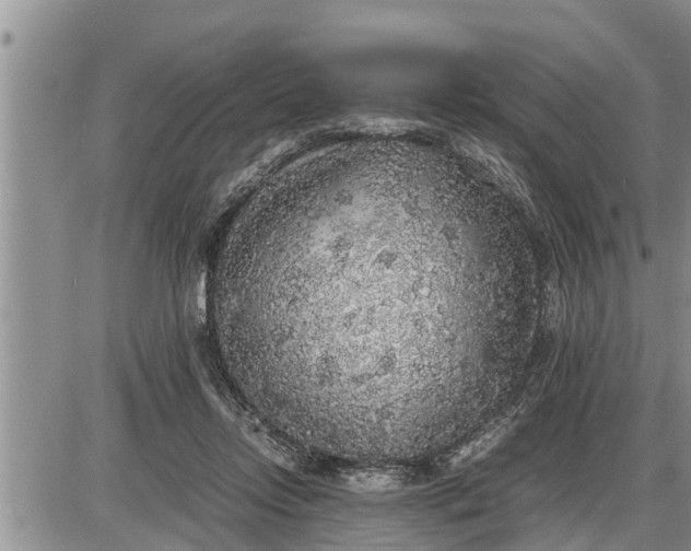 X0000085250358200703231656