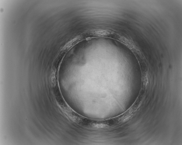 X0000085250360200703231656