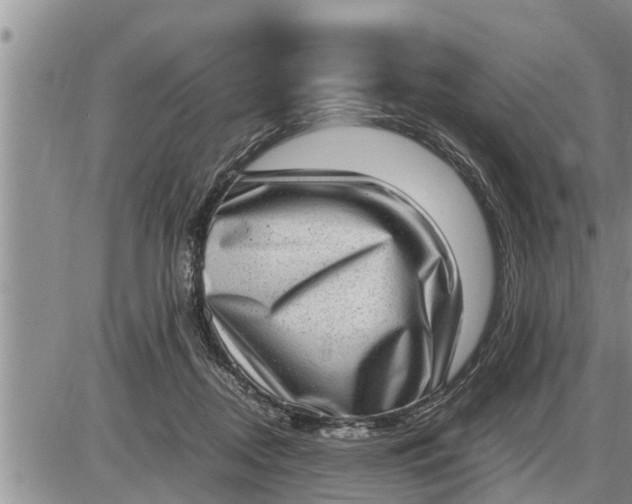 X0000085250362200703231656