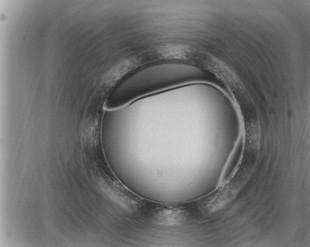 X0000085250364200703231656