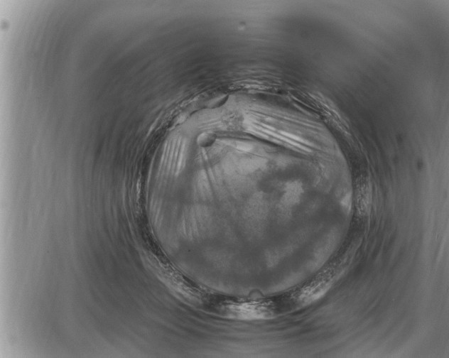 X0000085250365200703231656