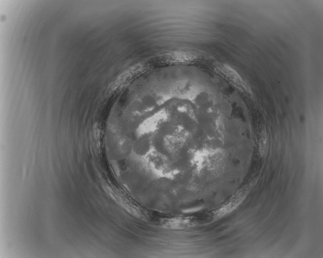 X0000085250366200703231656