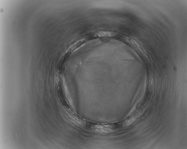 X0000085250367200703231656