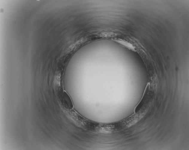 X0000085250368200703231656