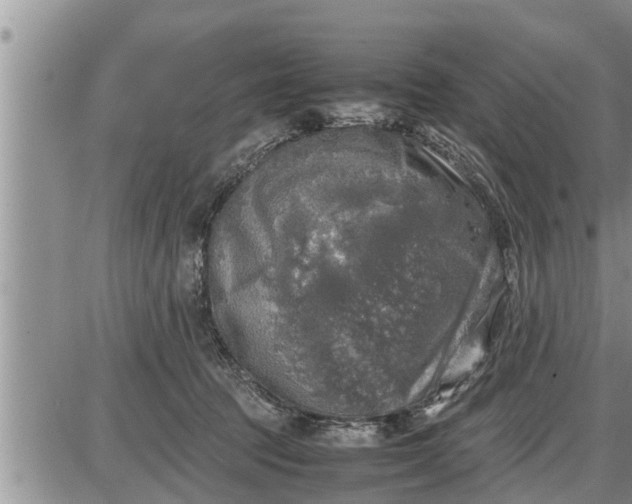 X0000085250369200703231656