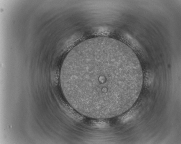 X0000085250370200703231656