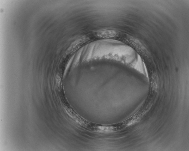 X0000085250371200703231656