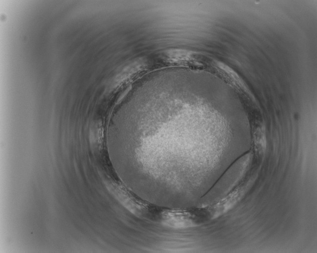 X0000085250372200703231656