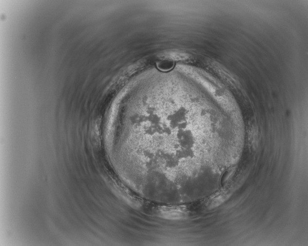 X0000085250373200703231656