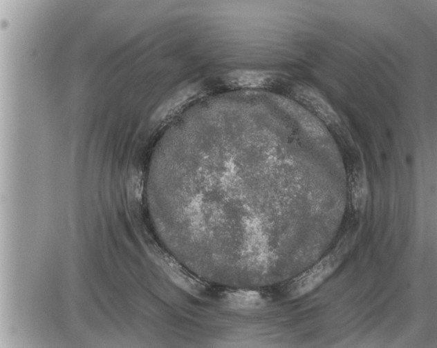 X0000085250374200703231656