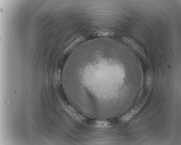 X0000085250376200703231656